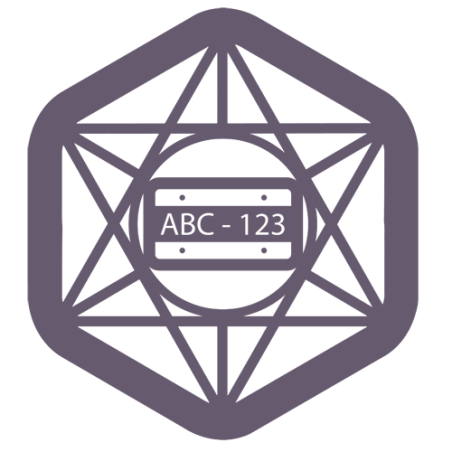 Software para lectura de matrículas, hasta 20 cámaras LPR