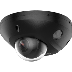 Cámara domo IP Hikvision DS-2CD2543G2-LIS2U negra 4MP