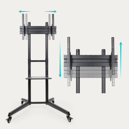 Soporte TV suelo con ruedas TooQ FS1170M-B - 37-70", VESA 100x100-600x400, 50 kg, altura regulable, negro